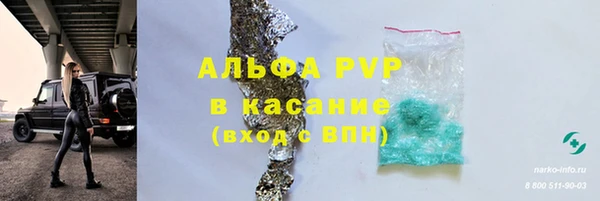 хмурый Абаза