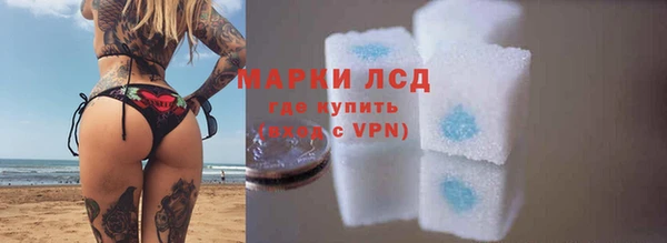хмурый Абаза