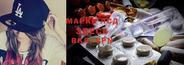 a pvp Алзамай