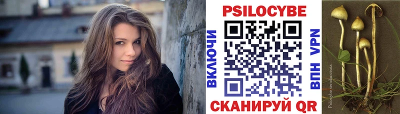 Псилоцибиновые грибы мицелий  Осташков 