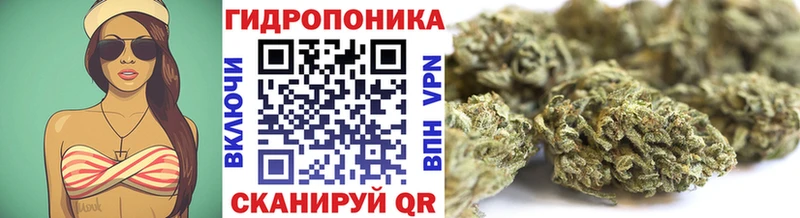 Конопля MAZAR  Осташков 